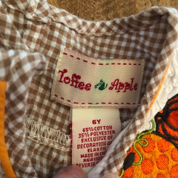 Toffee Apple Fall dress size 6 - Picture 3 of 4